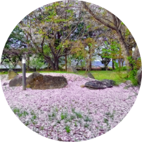 合同埋葬について イメージ画像