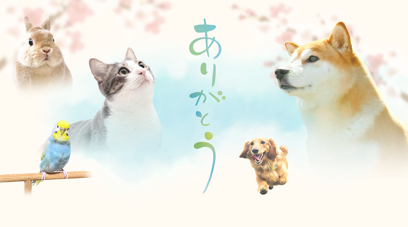 トップページのメインイメージ